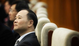 李书福父子做VC