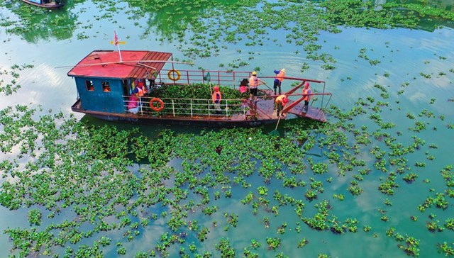 直通部委 | 外来入侵物种管理办法征求意见 国家组织药品集采节约费用超2600亿
