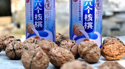 植物蛋白饮料,中国市场,消费趋势,六个核桃,业绩