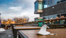 旅游板块大异动，曲江文旅、凯撒旅业三连板，谁在爆炒？