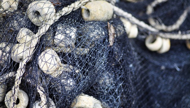 中国渔业互助保险社获批筹建，初始运营资金5亿元、4家省级分支机构同步获批