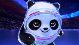 蹭“冰墩墩”熱度，400余件商標注冊申請被駁回