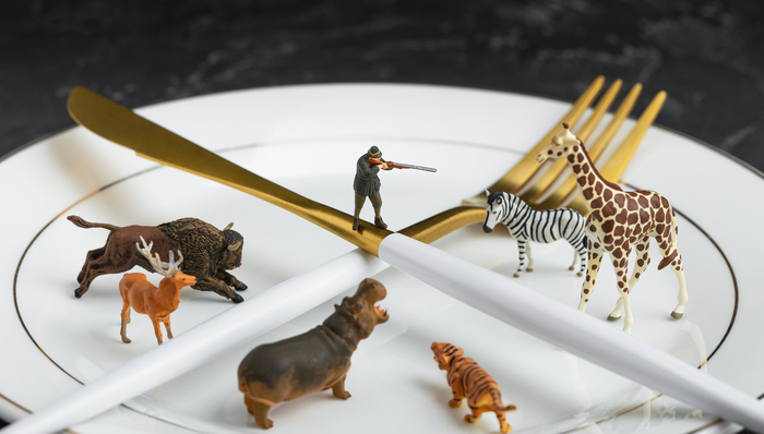 野生动物,动物保护,人与自然,新书