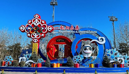 黃牛的“饑餓游戲”，是年輕人的宿命還是選擇？