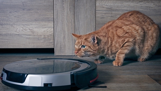 股东大会还没开就要付款？鸿博股份跨界收购扫地机器人公司，一字涨停后收关注函