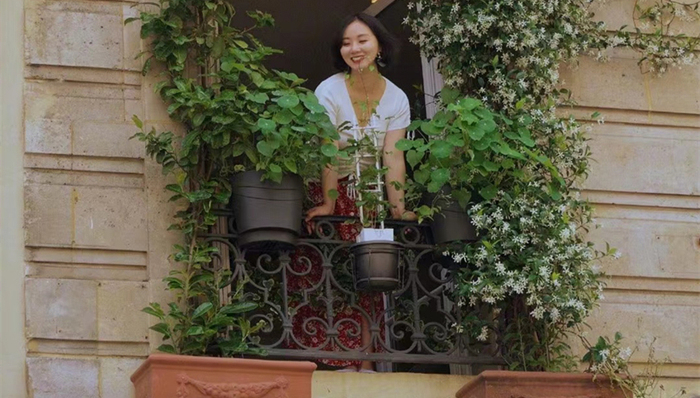 旅游产业,爱彼迎,财报,业绩