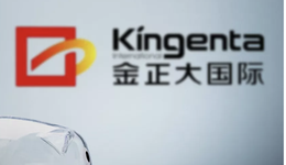 金正大231億元財(cái)務(wù)造假，8人被罰755萬(wàn)元，違法成本低到塵埃？