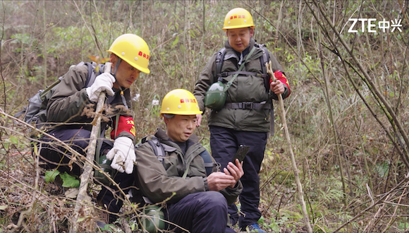 科技向善！ 5G消息守护原生态生物多样性