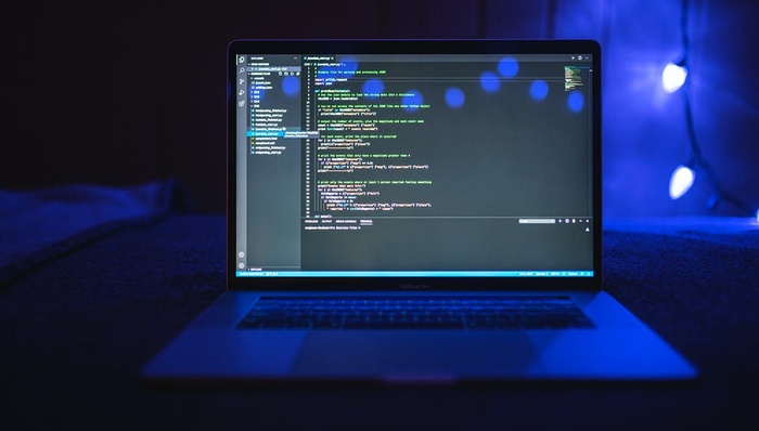 编程,教育,投资,计算机,创业