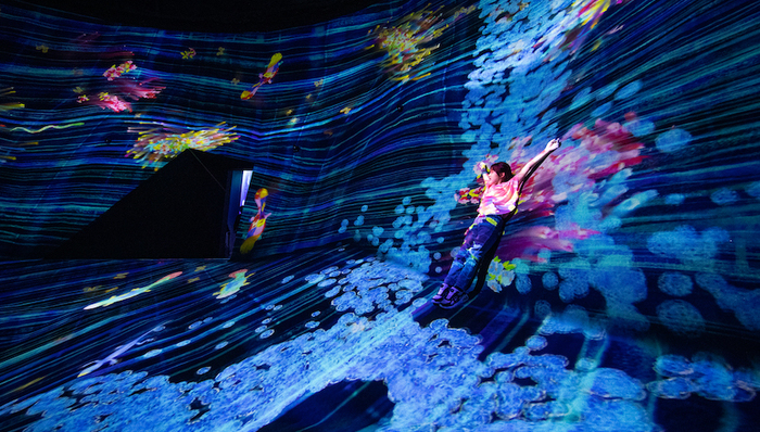 10000平方米沉浸式美术馆，teamLab北京全新艺术空间即将开启