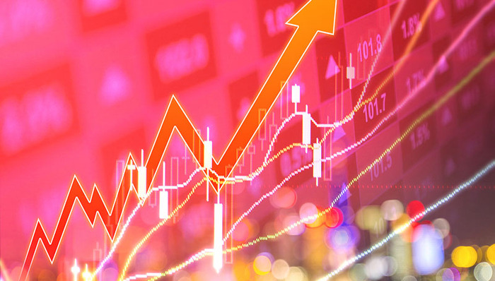 宁泉,杨东,桥水