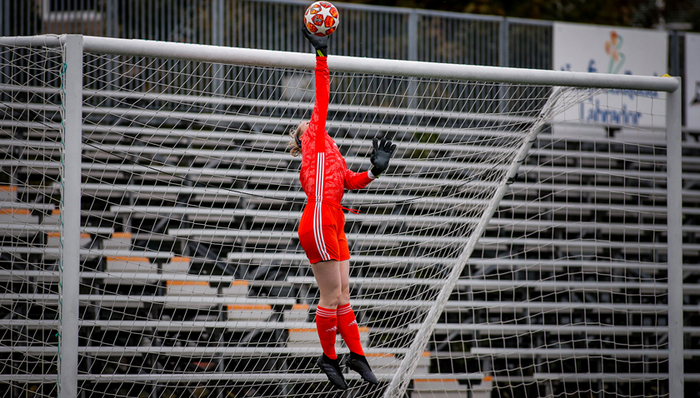 乐视,信息披露,财务造假,政府监管,金杜