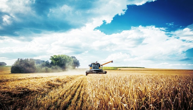 农业,中央一号文件,A股,农林牧渔