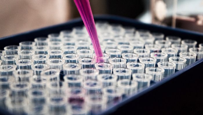 新冠肺炎,口服药,雅本化学,股价,业绩