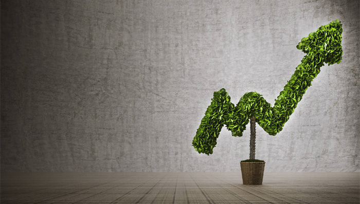 可降解塑料，宇新股份，石油化工，大湾区