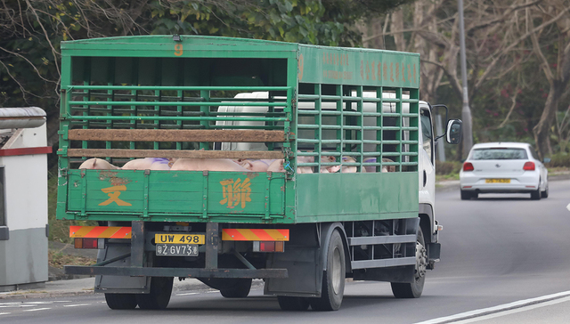 147名跨境货车司机核酸阳性，深圳启动海运供应香港物资