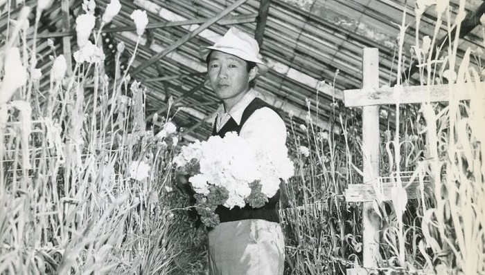 移民,二战,外国文学,作家