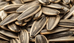 瓜子涨价毛利仍在下滑，洽洽食品净利增速连降两年