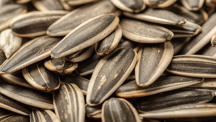 洽洽食品,业绩,提价,瓜子