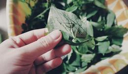 “贵州前首富”玩坏贵州百灵