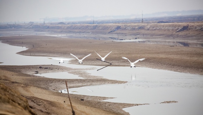 生态环境部：“十四五”生态环境领域顶层设计即将公布