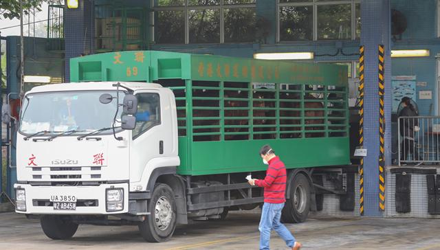 疫情,跨境司机,香港,深圳,三点一线