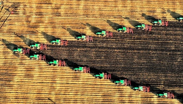 章言该：为什么中央一号文件如此强调粮食安全和不发生规模性返贫两条底线？