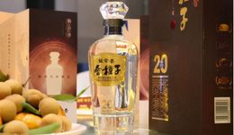 金種子酒：賈光明欲走高端路線失利，引“外援”疑提前泄密