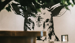 被山寨“毒害”的品牌，远不止一个鹿角巷