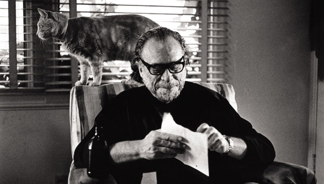 “像火一样闯入生活”：布考斯基为何赞美猫？| 一诗一会