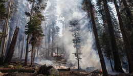 3月份四川西南部等多地森林火險(xiǎn)等級(jí)為高度危險(xiǎn)