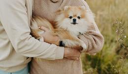 老年人養(yǎng)寵物“不差錢(qián)”，正撐起一個(gè)近700億的大市場(chǎng)