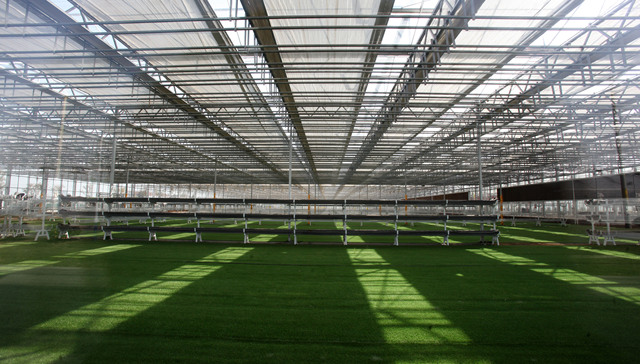 红杉中国沈南鹏两会提案：强化双碳基础科学研究、发掘农业微生物应用潜力