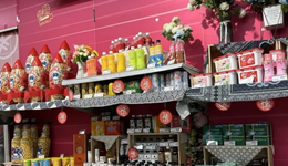 “家樂?！焙途W(wǎng)紅新品牌，誰做誰的救命稻草？