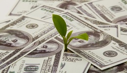 分紅大師董明珠