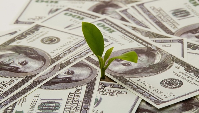 董明珠,格力,上市公司,分红,