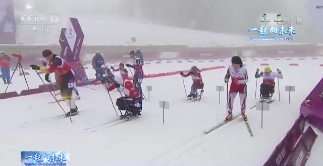 越野滑雪,赛道,滑雪器,体能,接力项目,视力障碍,坐姿组,比赛场地,个人项目,比赛成绩