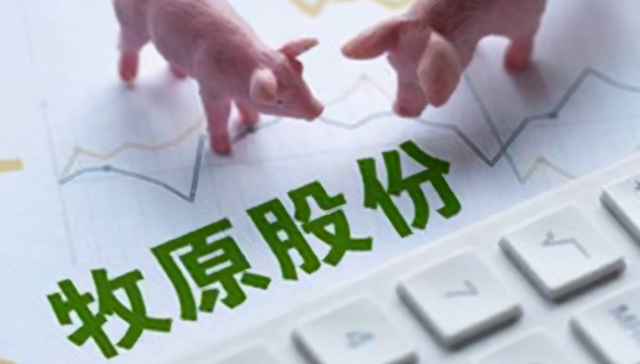 牧原股份,财务造假,猪肉,上市公司,新希望