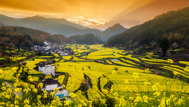 春天第一场出游，赏花成首选