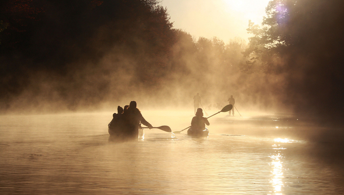 移动电商,商业模式,阿里巴巴,猫享,京东