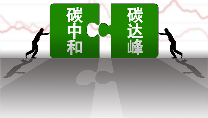 王冬胜：加快探索转型金融产品，弥合传统绿色融资和可持续融资之间差距丨两会聚焦·双碳