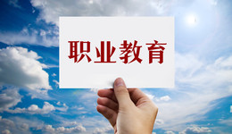 直播帶貨兩月后，新東方在線宣布發(fā)力職業(yè)教育