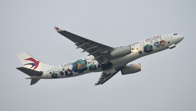 东航世赛彩绘机首飞，在飞机上“作画”有多难？