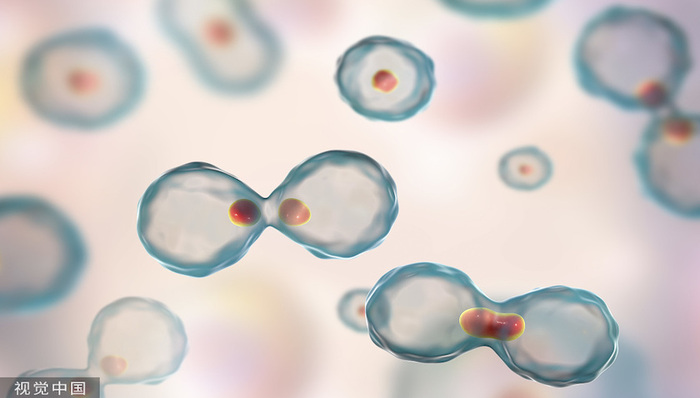 财说 | 子公司国产CAR-T药在美获批，金斯瑞会有多大受益？