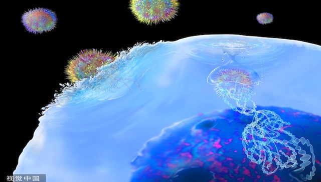 中国首款CAR-T在美获批背后：出海5年终于靠岸