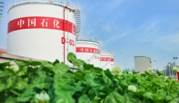 中國石化擬100億轉(zhuǎn)讓上海賽科50%股份