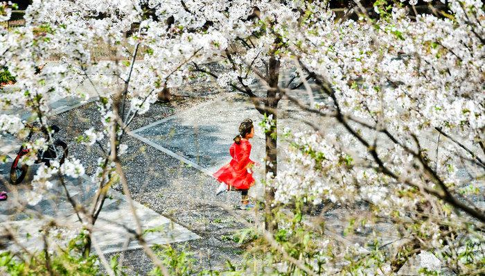 她旅行的新画像：挑战极限运动、爱尝鲜、敢消费