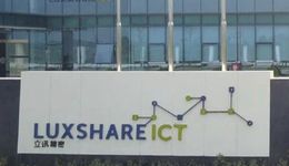 “俊鳥”立訊精密，能在汽車領(lǐng)域再與鳳凰齊飛嗎？