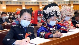 代表：定期公开各地交通罚款收入，委员：建议电信网络诈骗单独入刑 | 两会声音