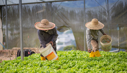 磷化工龙头云天化净利涨12倍，半年市值跌超250亿，劵商鼓吹下能否重回巅峰？